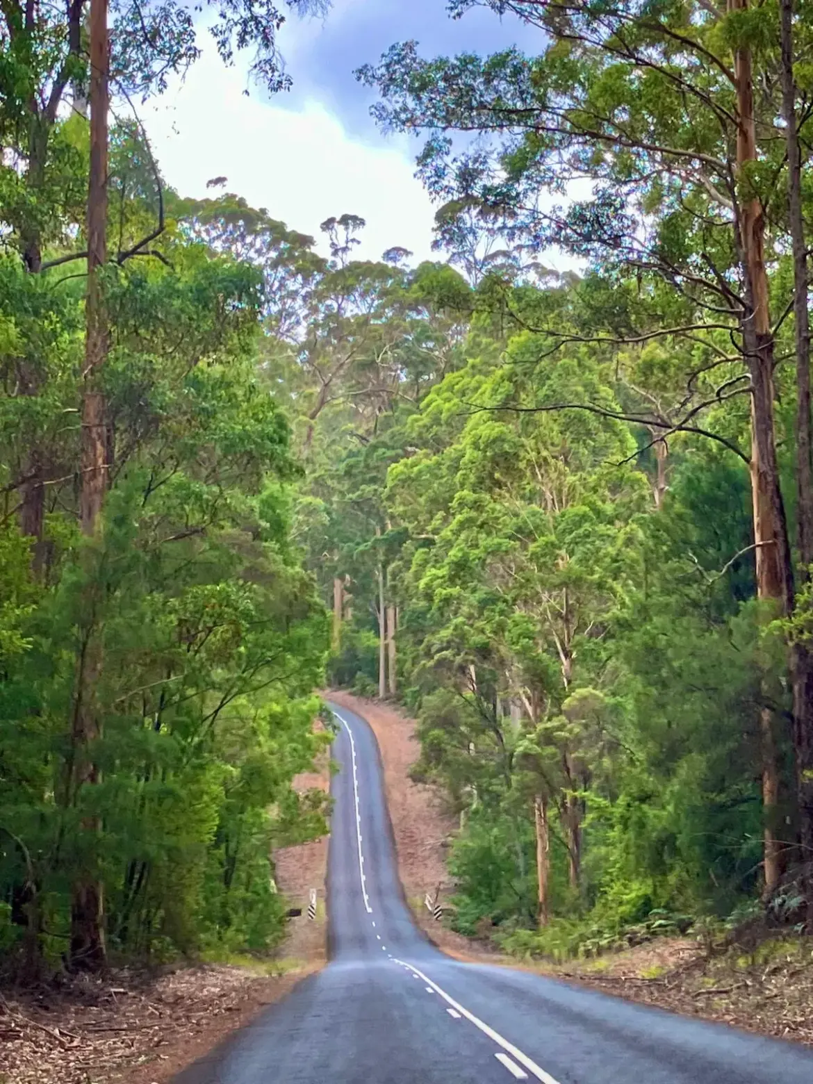 Sursum Avante: Eine neue Architektur für den Geist.